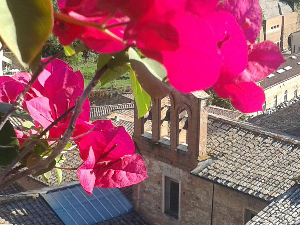Residenza D'Epoca Campo Regio Relais Bed & Breakfast Сиена Екстериор снимка